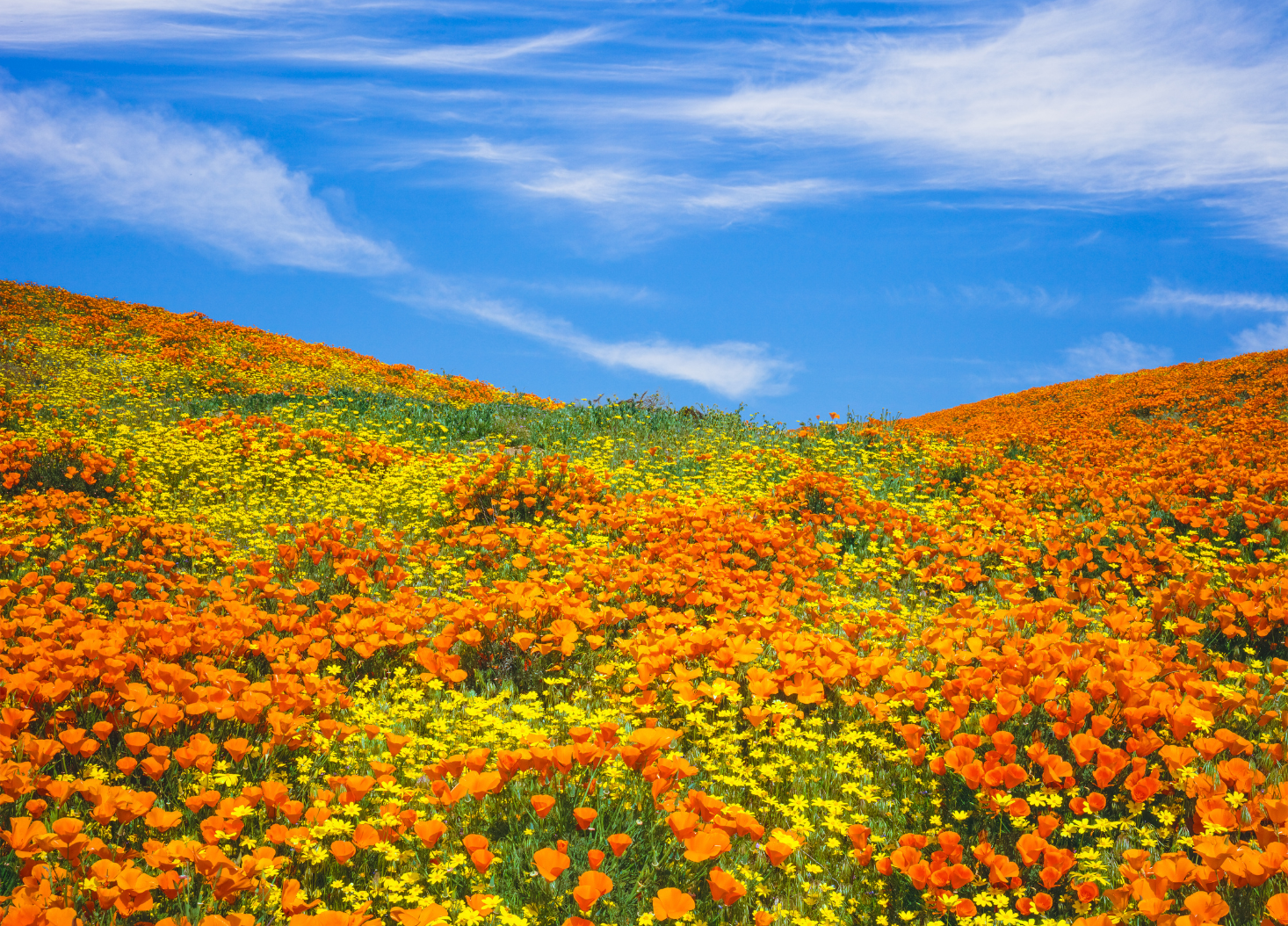 Warum Frauen länger leben als Männer