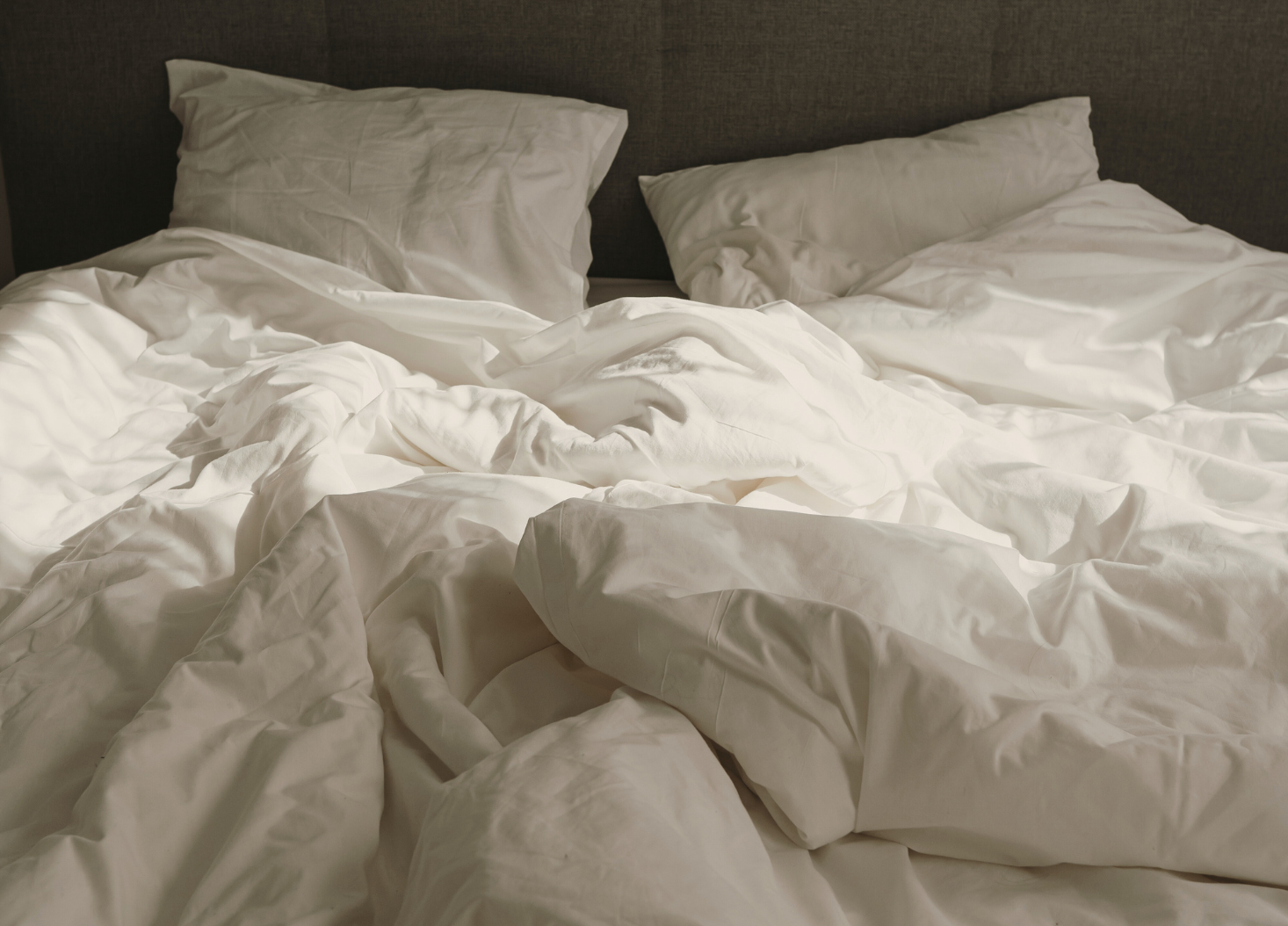 Bett Zirkadianer Rhythmus