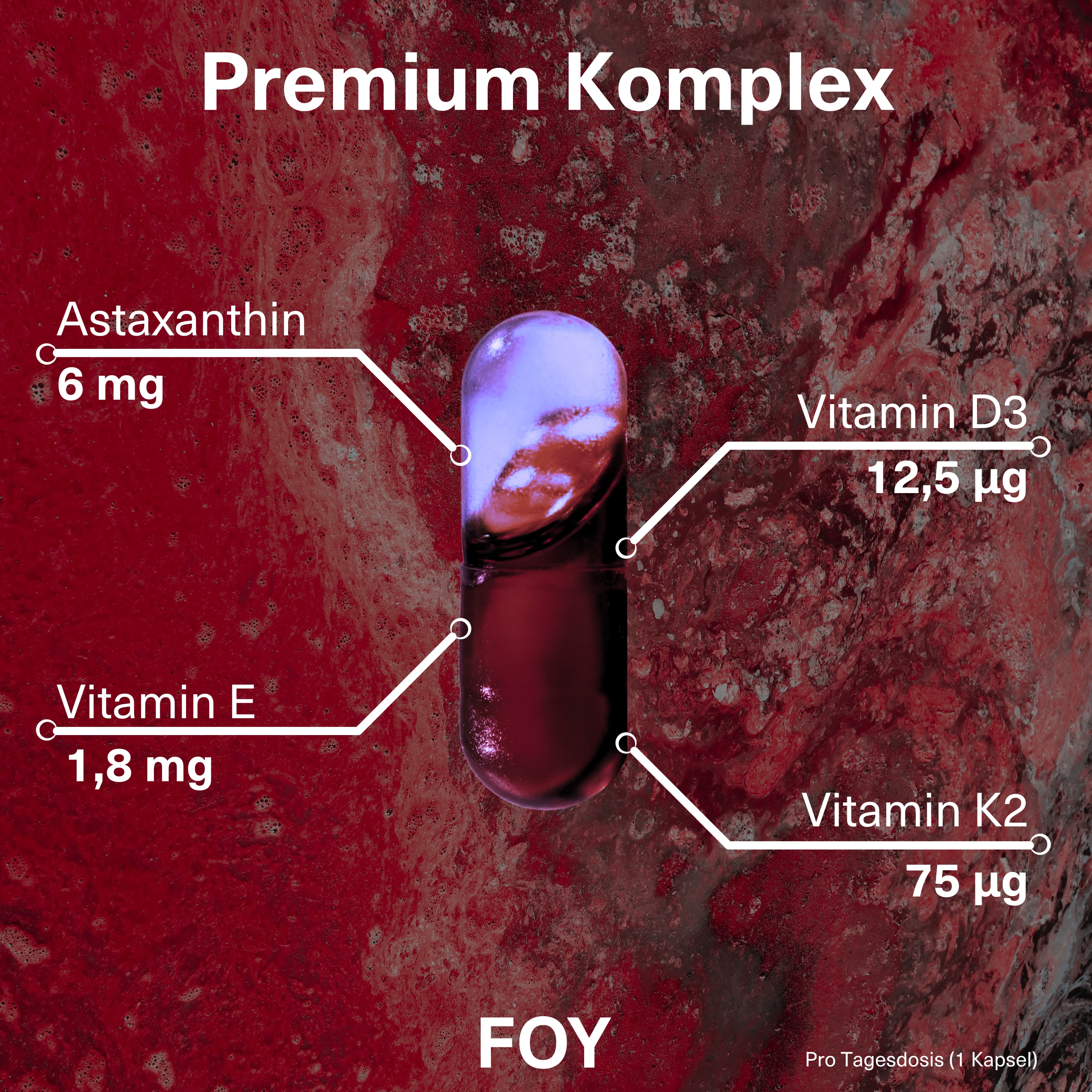 FOUNTAIN OF VITALITY