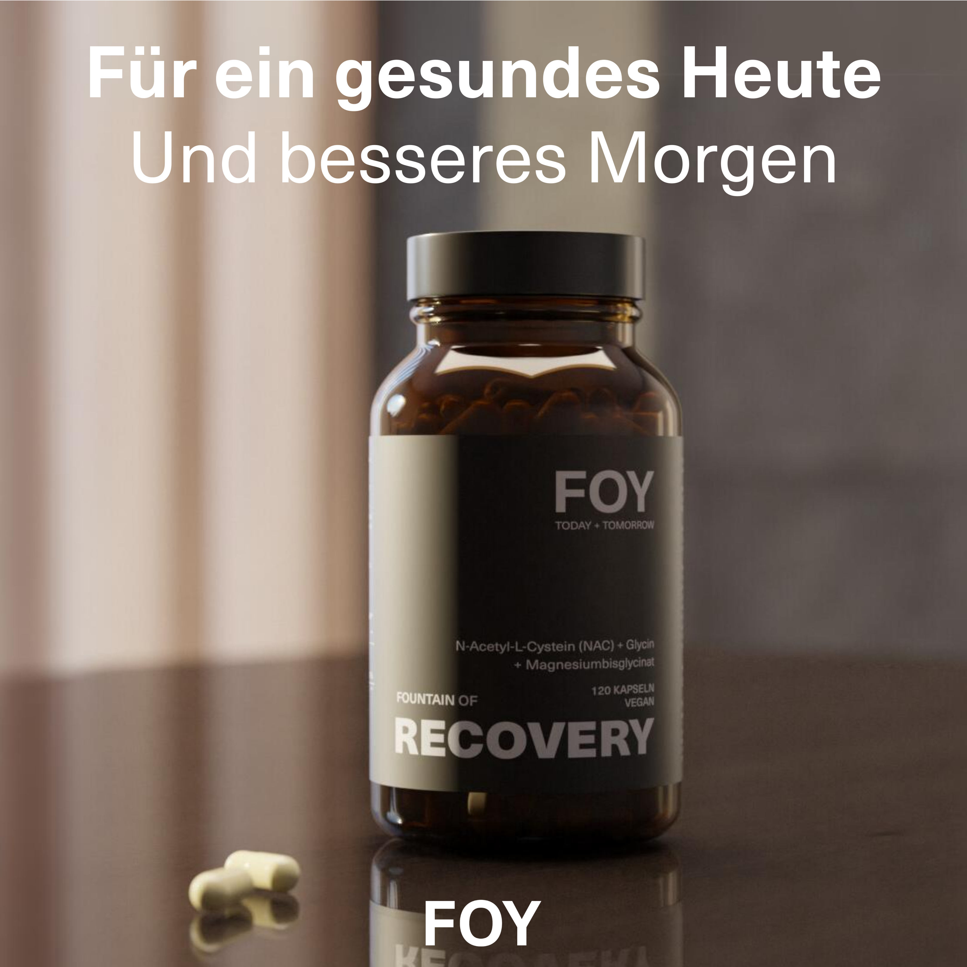 FOUNTAIN OF RECOVERY